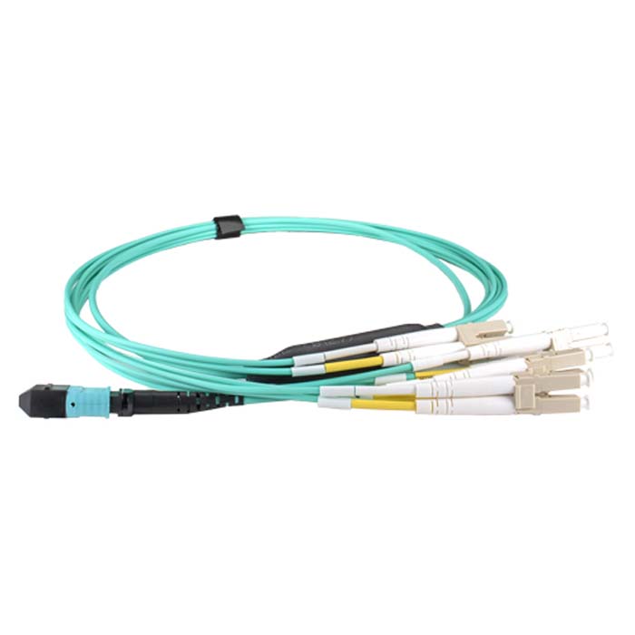 CNL 0.5M OM4 B12 MPO LC4 DX BkO Aq M-B